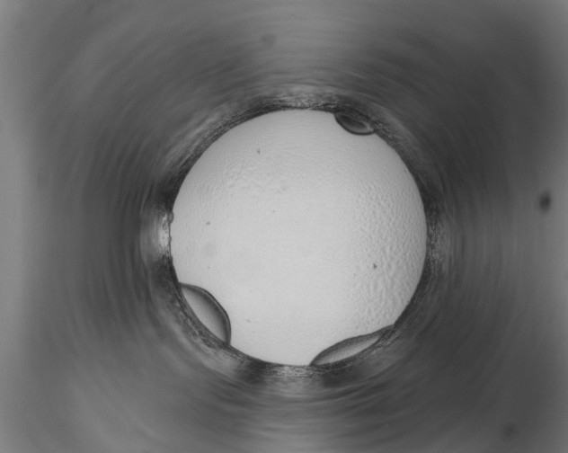 X0000116110095200912141031