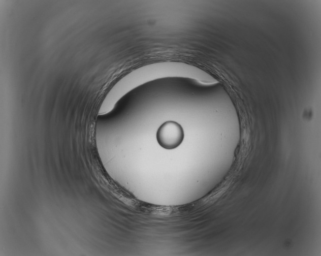 X0000116110096200912141031