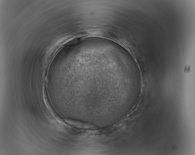 X0000116110097200912141031