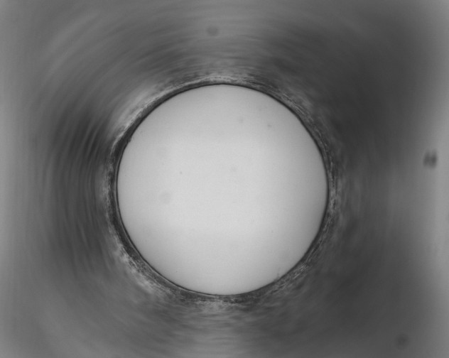 X0000116110098200912141030