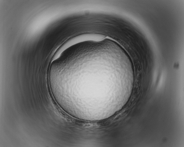 X0000116110099200912141030