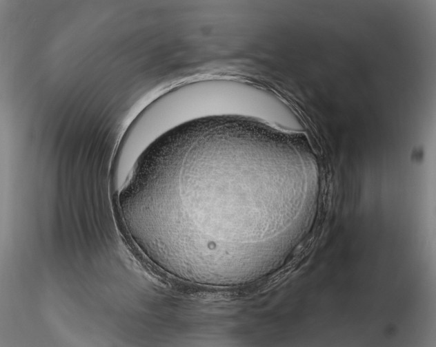 X0000116110100200912141030