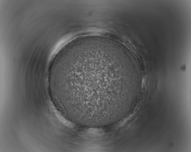 X0000116110101200912141030