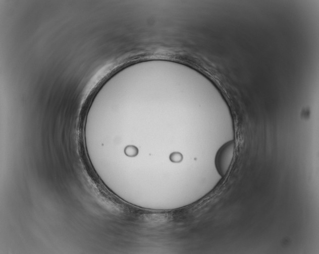 X0000116110102200912141030