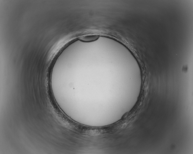 X0000116110103200912141030