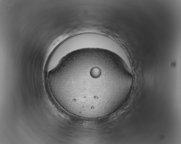 X0000116110104200912141030