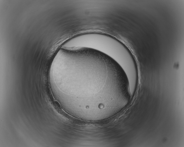 X0000116110105200912141030