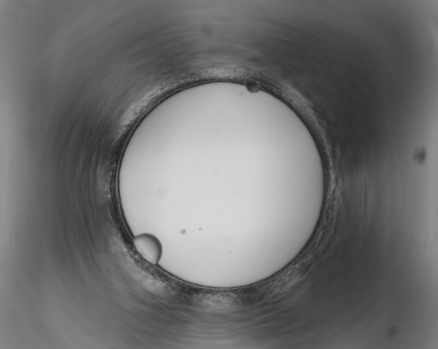 X0000116110106200912141030