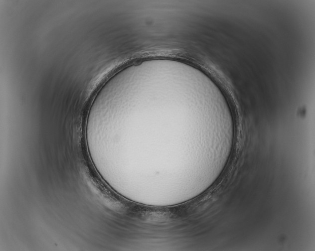 X0000116110107200912141030