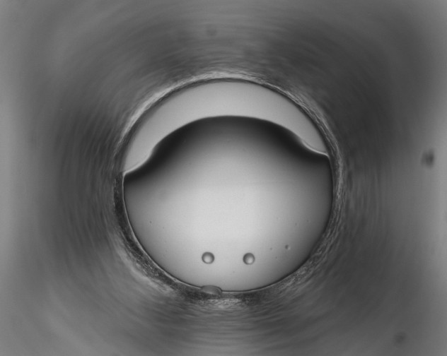 X0000116110108200912141030