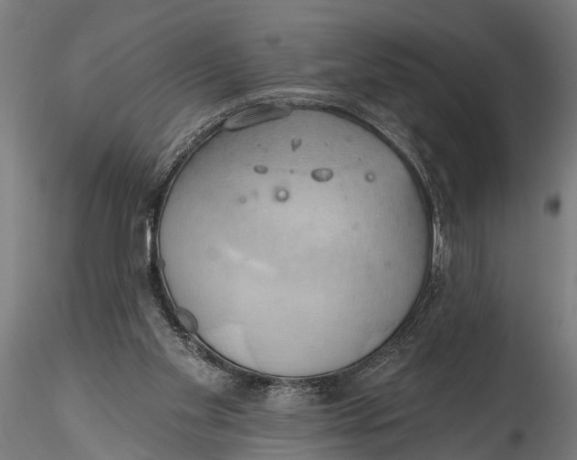 X0000116110109200912141030