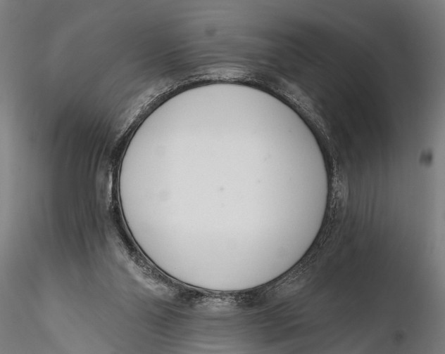 X0000116110110200912141030