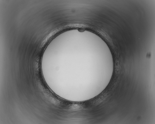 X0000116110111200912141030