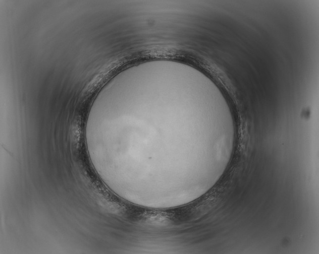 X0000116110113200912141030