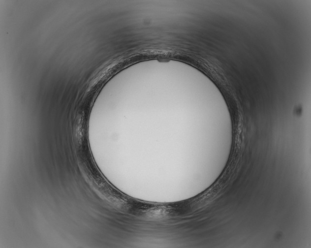 X0000116110116200912141030