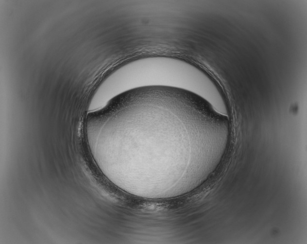 X0000116110117200912141030