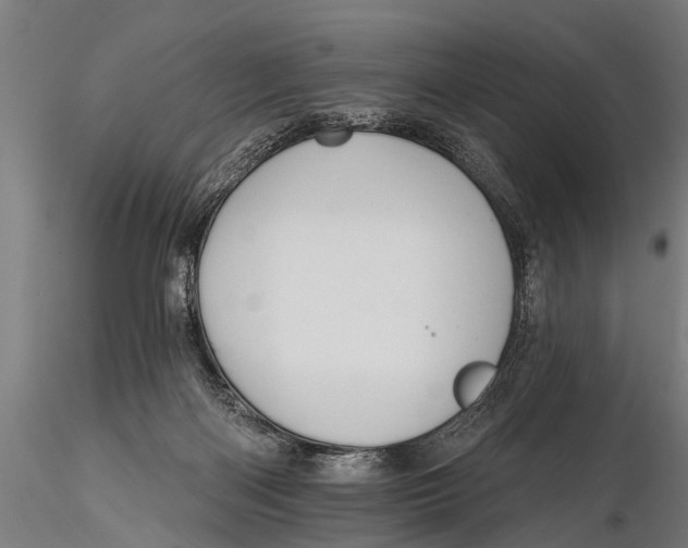 X0000116110122200912141030