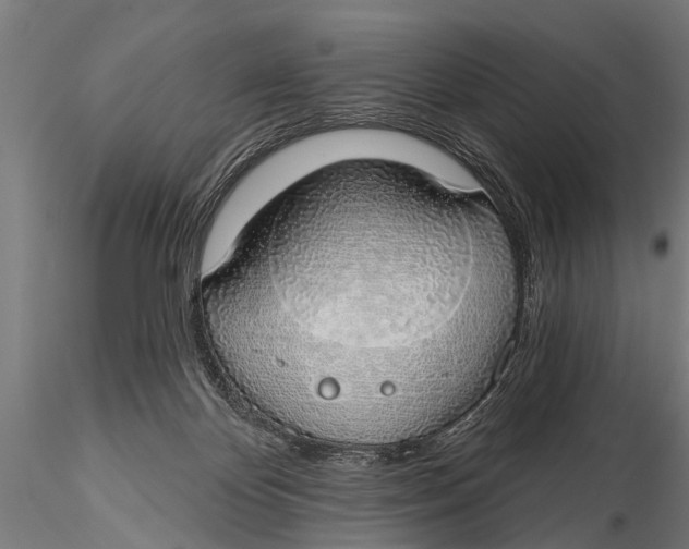 X0000116110124200912141030