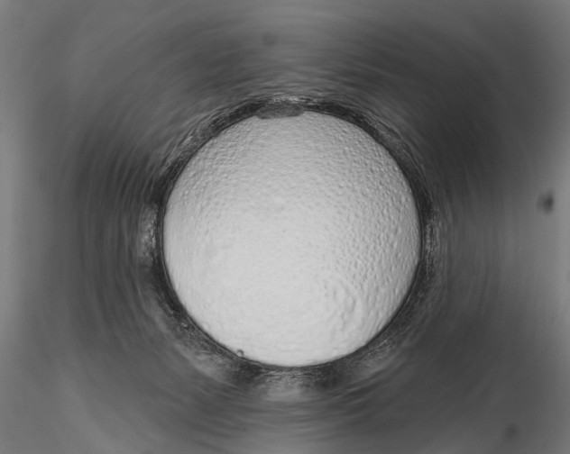 X0000116110127200912141030