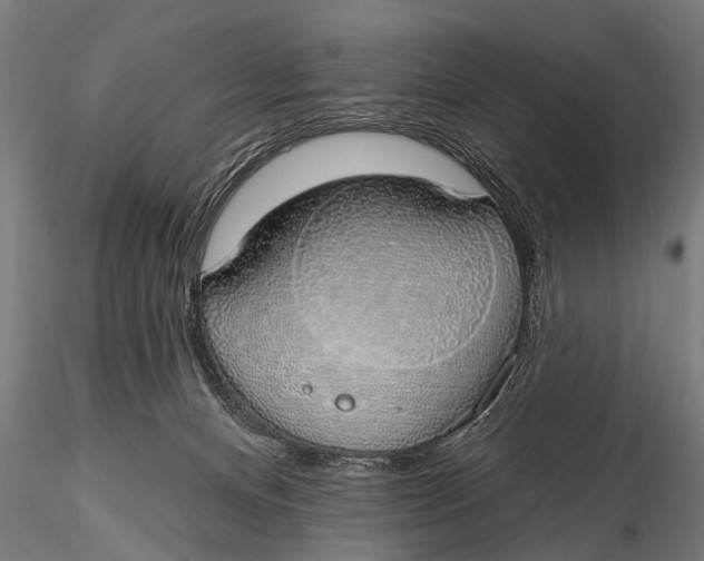 X0000116110128200912141030