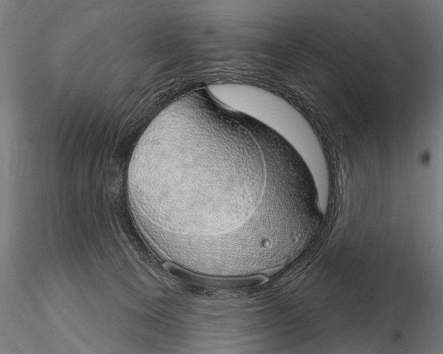 X0000116110129200912141030