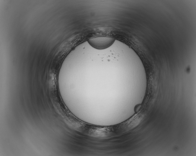 X0000116110130200912141030