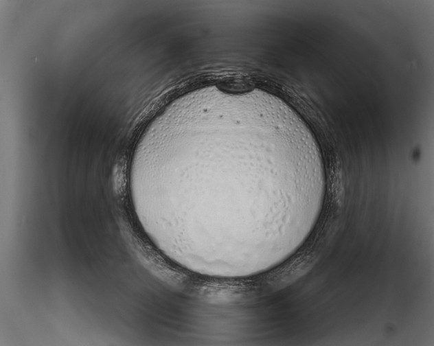 X0000116110131200912141030