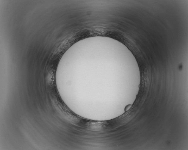 X0000116110134200912141030