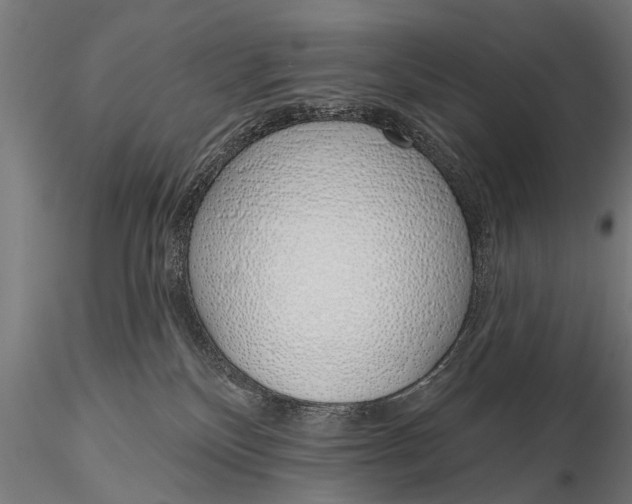 X0000116110136200912141030