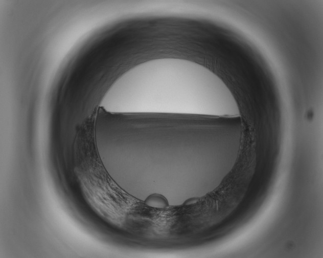 X0000116110143200912141030