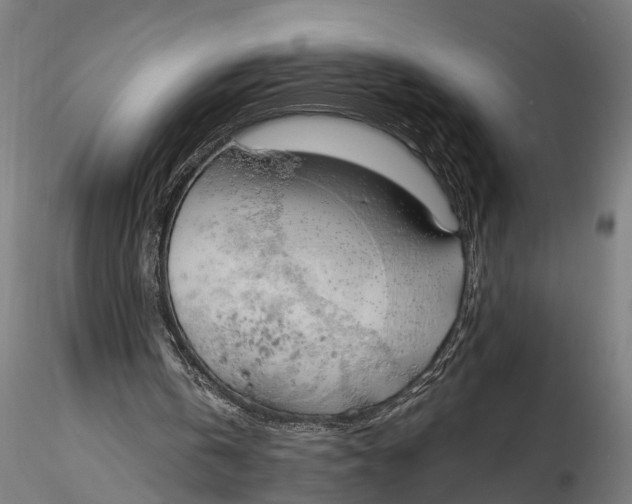 X0000116110146200912141029