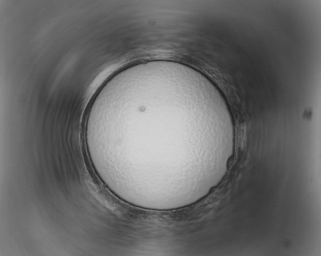 X0000116110147200912141029