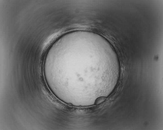 X0000116110149200912141029