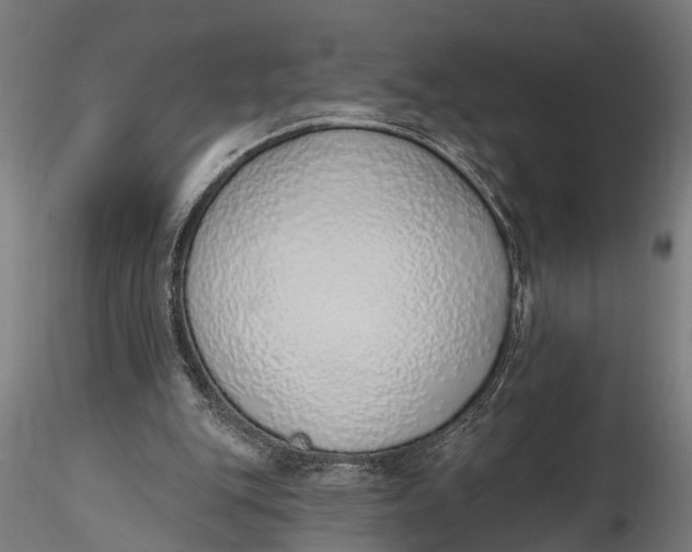 X0000116110151200912141029