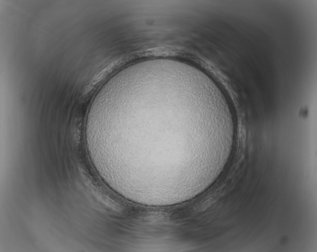 X0000116110153200912141029