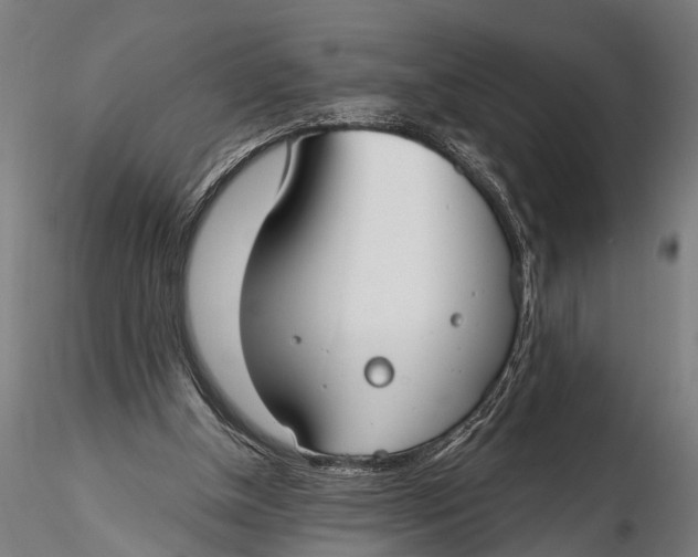 X0000116110154200912141029