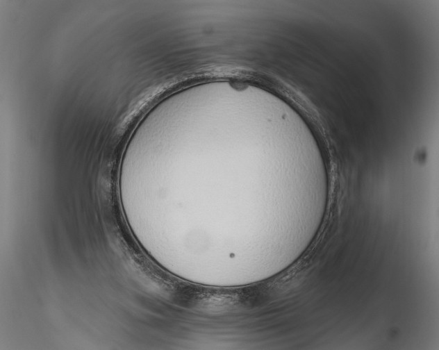 X0000116110155200912141029