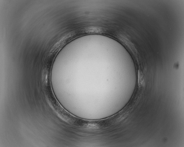 X0000116110157200912141029