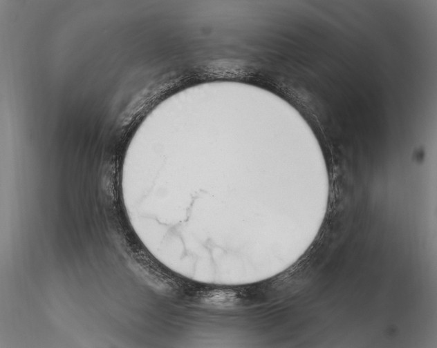 X0000116110162200912141029