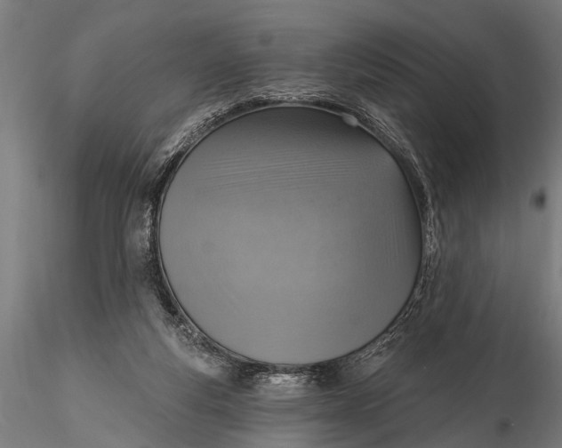 X0000116110163200912141029