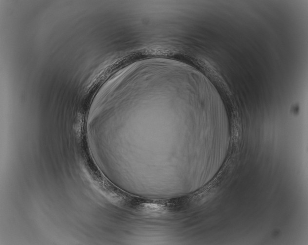 X0000116110167200912141029