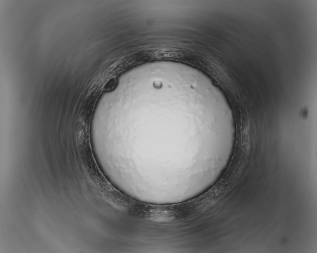 X0000116110169200912141029