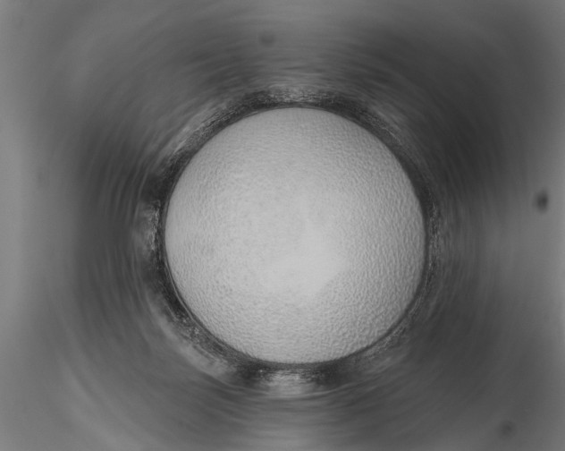 X0000116110171200912141029