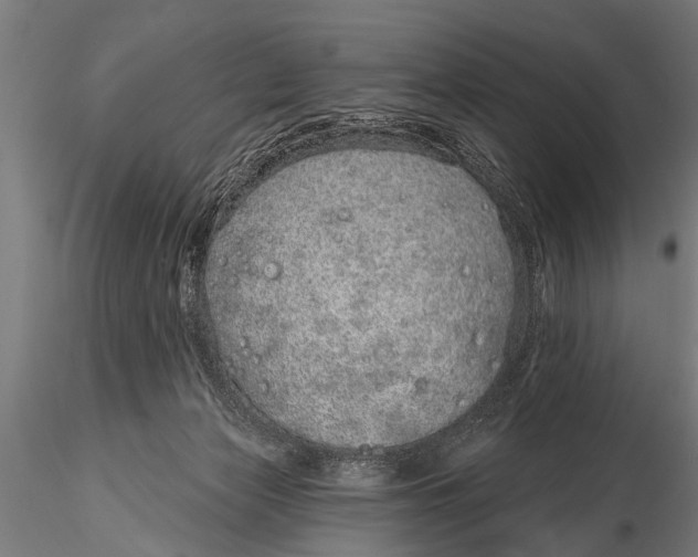 X0000116110173200912141029