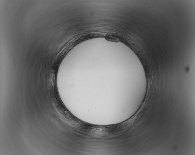 X0000116110174200912141029