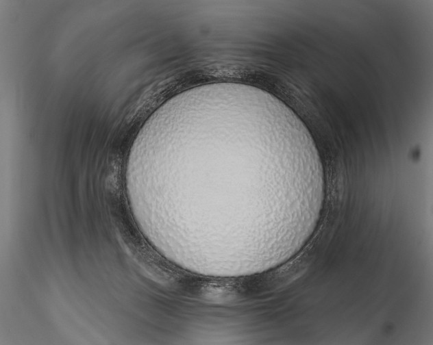 X0000116110175200912141029