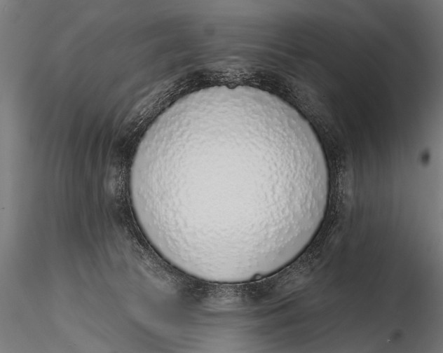 X0000116110177200912141029