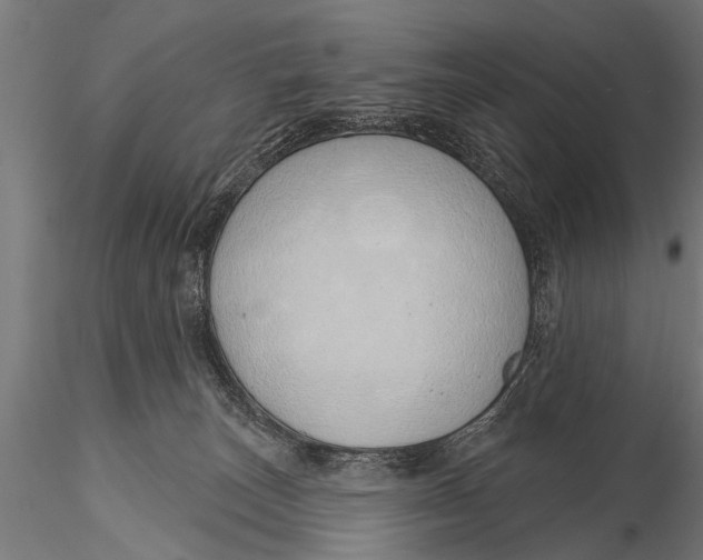 X0000116110179200912141029