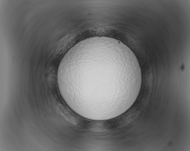 X0000116110181200912141030