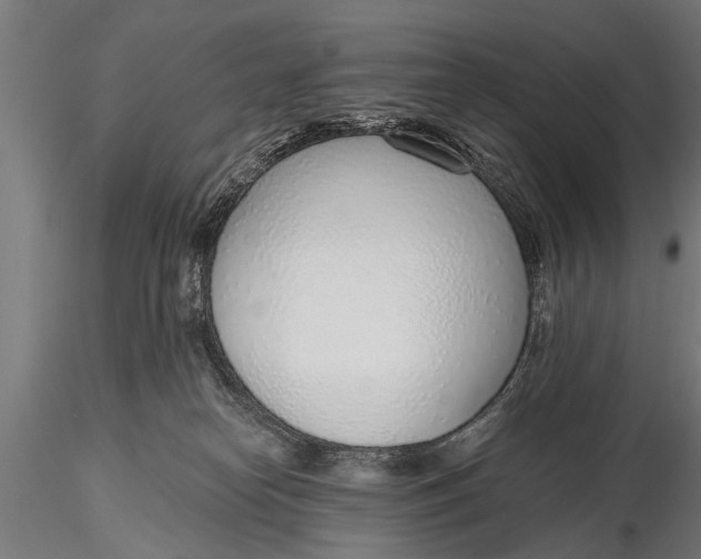 X0000116110182200912141030